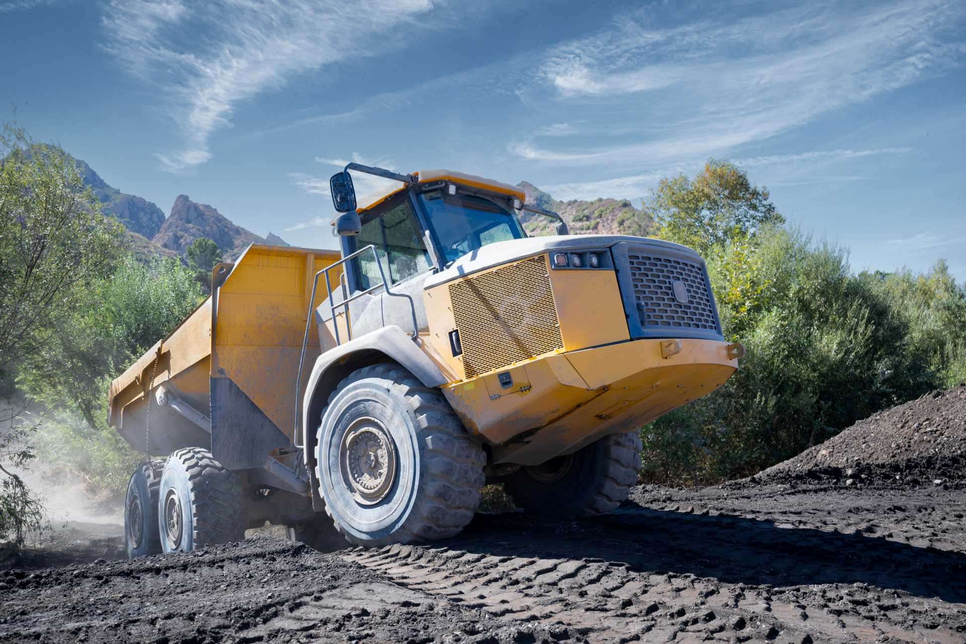 rock truck ready for sale
